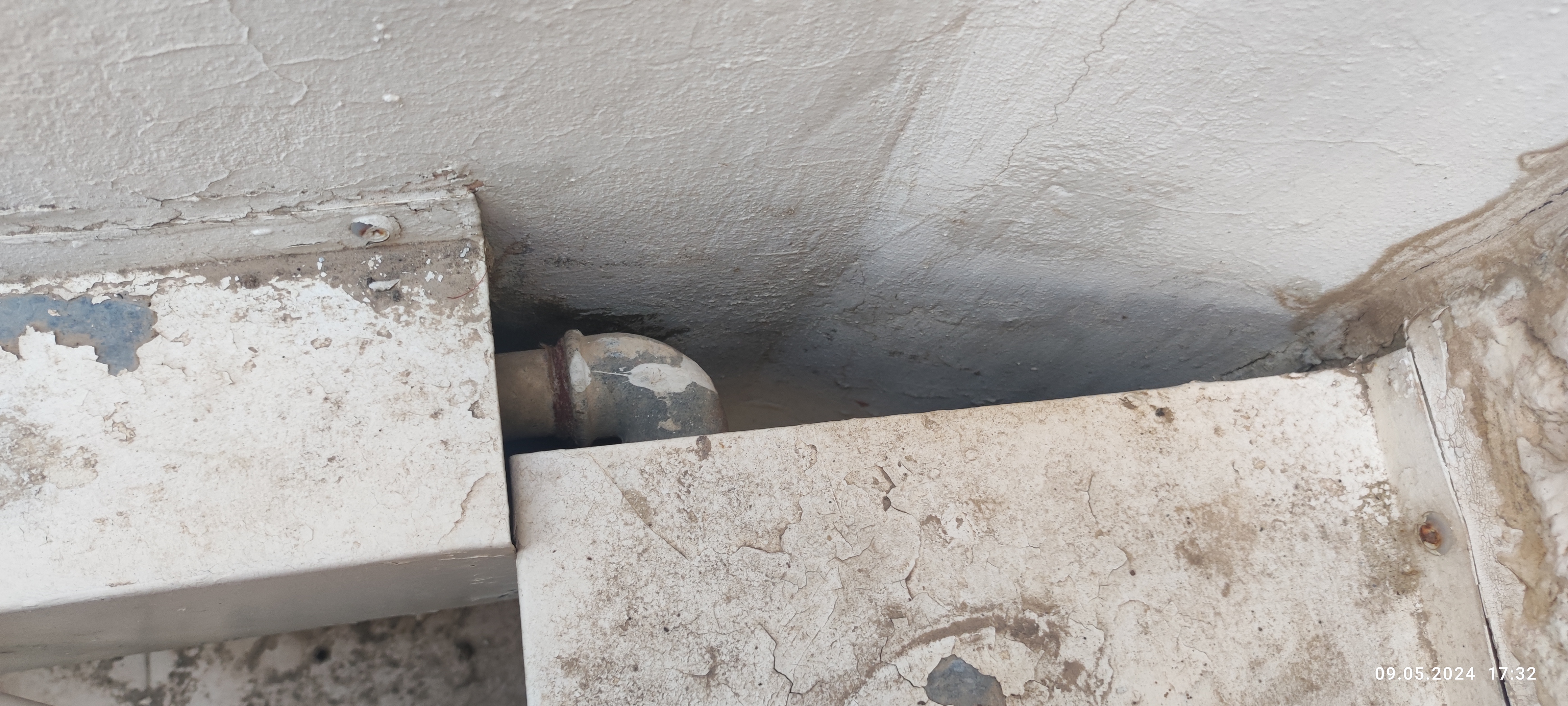 תמונה ממוזערת 2